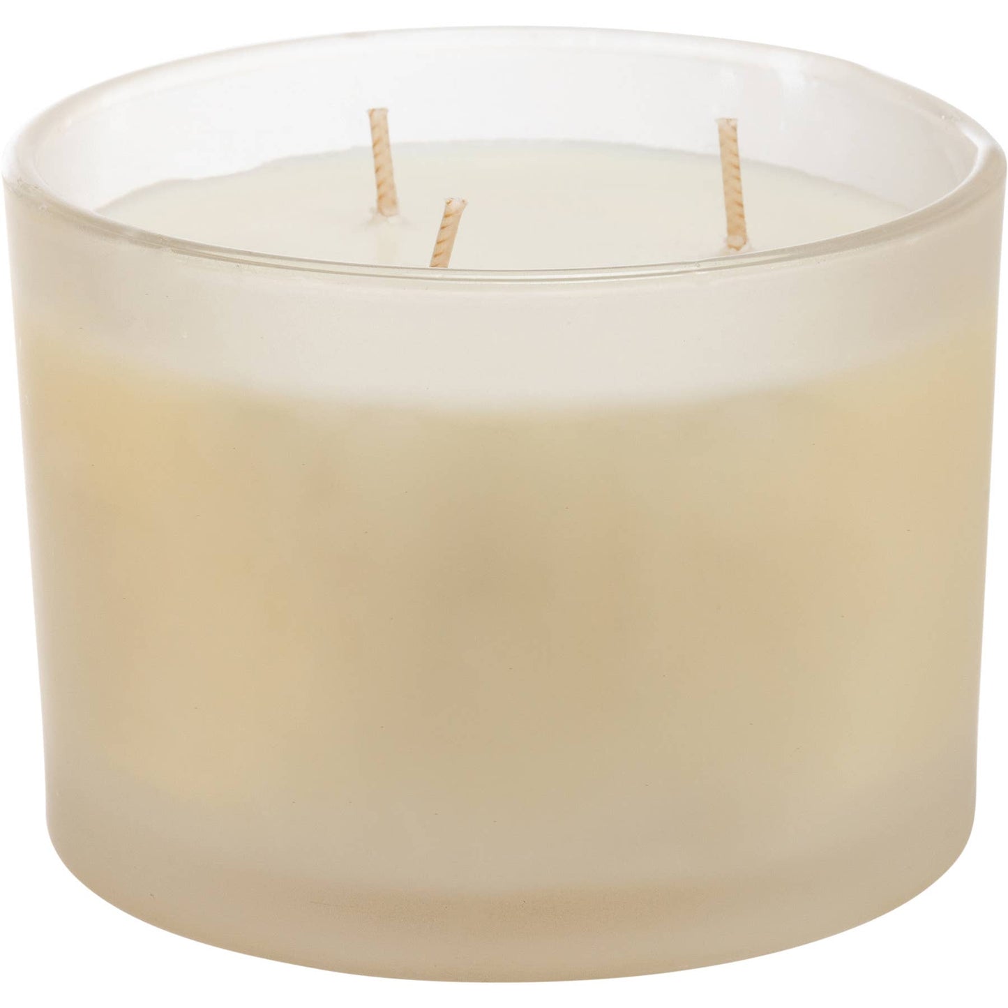 You’re Not a Taco Soy Candle – Sea Salt & Sage